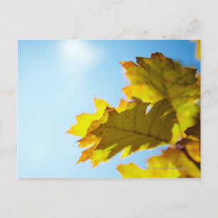 Sluiten van gele kleppen briefkaart