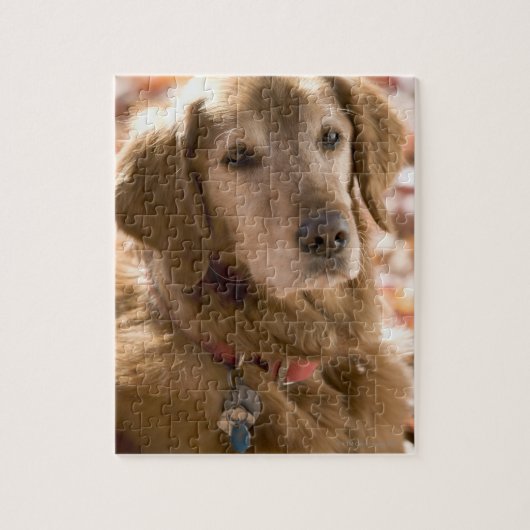 Sluiten van gouden labrador rekhondenhond legpuzzel (Verticaal)