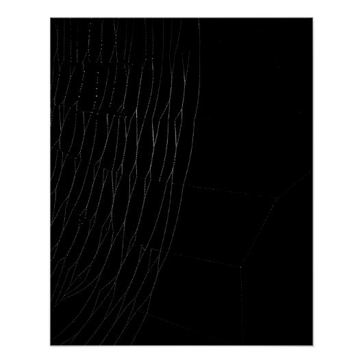 Sluiten van het Witte Web met Zwart Poster (Voorkant)