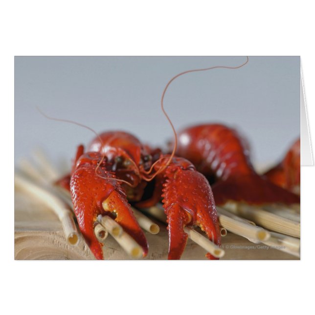 Sluiten van krab op stokken (Voorkant Horizontaal)