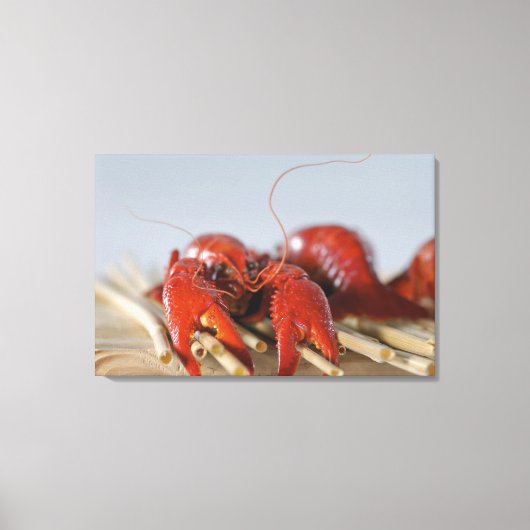 Sluiten van krab op stokken canvas afdruk (Voorkant)