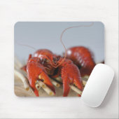 Sluiten van krab op stokken muismat (Met muis)