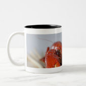 Sluiten van krab op stokken tweekleurige koffiemok (Links)