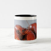 Sluiten van krab op stokken tweekleurige koffiemok (Center)