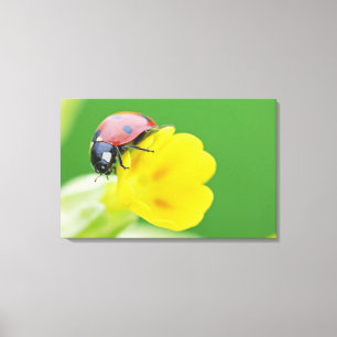 Sluiten van Ladybug Canvas Afdruk