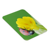 Sluiten van Ladybug Magneet (Rechterzijde)