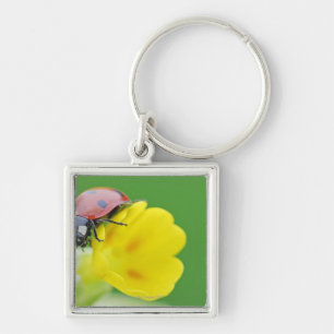 Sluiten van Ladybug Sleutelhanger