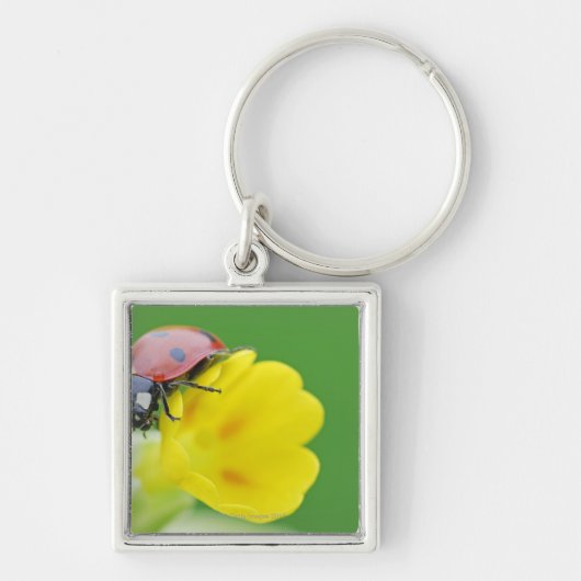Sluiten van Ladybug Sleutelhanger (Voorkant)