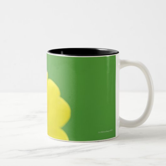 Sluiten van Ladybug Tweekleurige Koffiemok (Rechts)