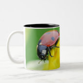 Sluiten van Ladybug Tweekleurige Koffiemok (Links)