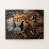 Sluiten van leeuw, volwassen man legpuzzel (Horizontaal)