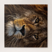 Sluiten van leeuw, volwassen man legpuzzel (Horizontaal)