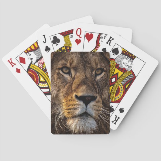 Sluiten van leeuw, volwassen man pokerkaarten (Achterkant)