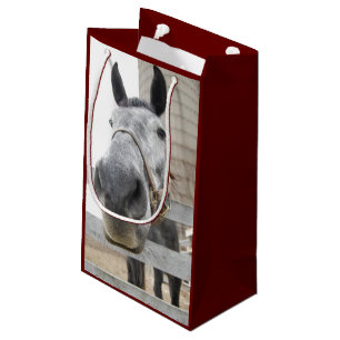 Sluiten van paarden klein cadeauzakje