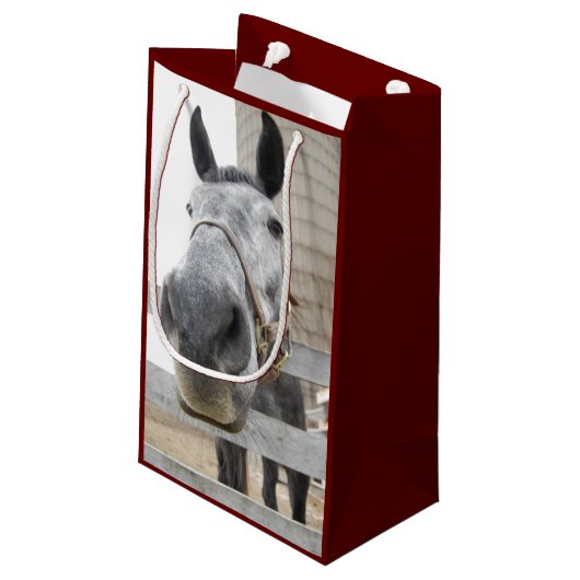 Sluiten van paarden klein cadeauzakje (Achterkant Gekanteld)