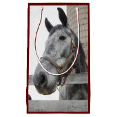 Sluiten van paarden klein cadeauzakje (Voorkant)