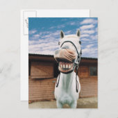 Sluiten van paarden met mond-open briefkaart (Voorkant / Achterkant)