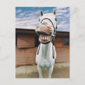 Sluiten van paarden met mond-open briefkaart (Voorkant)