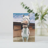 Sluiten van paarden met mond-open briefkaart (Staand voorkant)