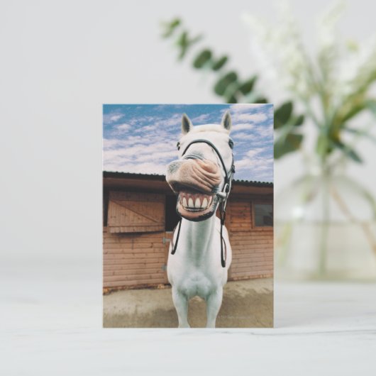 Sluiten van paarden met mond-open briefkaart (Staand voorkant)