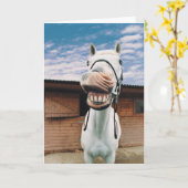 Sluiten van paarden met mond-open kaart (Gele Bloem)