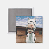 Sluiten van paarden met mond-open magneet (Voorkant / Achterkant)