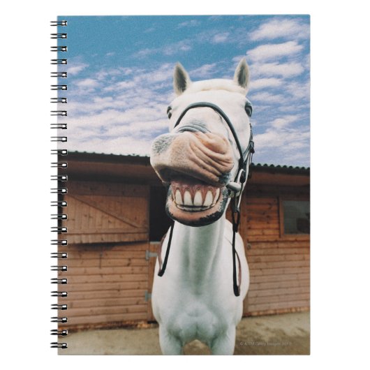 Sluiten van paarden met mond-open notitieboek (Voorkant)
