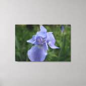 Sluiten van Paars Iris Flower Canvas Afdruk (Voorkant)