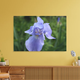 Sluiten van Paars Iris Flower Canvas Afdruk