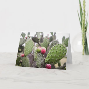 Sluiten van Prickly Pear Cactus Kaart