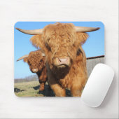 Sluiten van Schotse hoogland Koeien Muismat (Met muis)