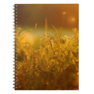 Sluiten van silhouet van een grasveld door zonsond notitieboek