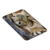 Sluiten van Sulcata Tortoise Face Magneet (Rechterzijde)