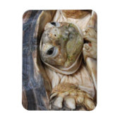 Sluiten van Sulcata Tortoise Face Magneet (Verticaal)
