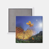 Sluiten van vlinder, vleugels met flapende vleugel magneet (Voorkant / Achterkant)