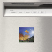 Sluiten van vlinder, vleugels met flapende vleugel magneet (Insitu (Vaatwasser))