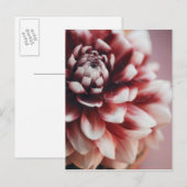 Sluiten van waterdruppels op een bloem briefkaart (Voorkant / Achterkant)