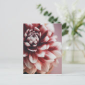 Sluiten van waterdruppels op een bloem briefkaart (Staand voorkant)