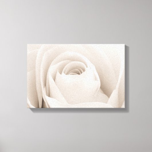 Sluiten van White Rose Petals Canvas Afdruk (Voorkant)