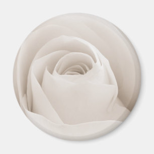 Sluiten van White Rose Petals Magneet