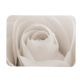 Sluiten van White Rose Petals Magneet (Horizontaal)