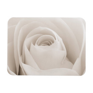 Sluiten van White Rose Petals Magneet