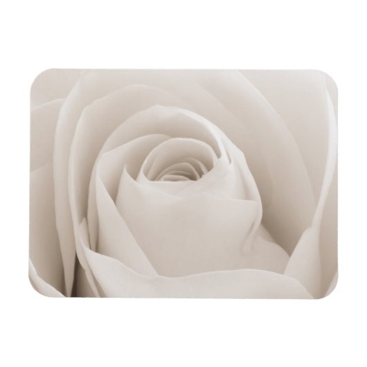 Sluiten van White Rose Petals Magneet (Horizontaal)