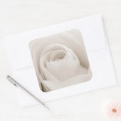 Sluiten van White Rose Petals Vierkante Sticker (Envelop)