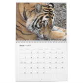 Sluiten van wilde dierengezichten in 2014 kalender (Mar 2027)