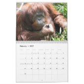 Sluiten van wilde dierengezichten in 2014 kalender (Feb 2027)