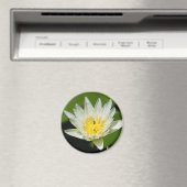Sluiten White Water Lily Flower and Bee Magnets Magneet (Insitu (Vaatwasser))