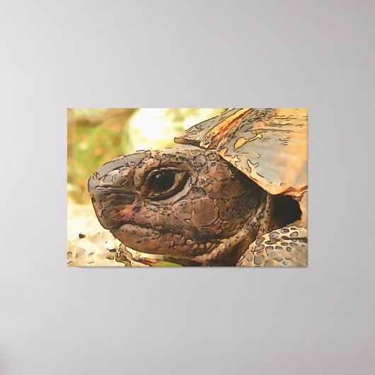 Sluiten zijportret van een Turkse schildpad Canvas Afdruk (Voorkant)