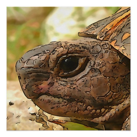 Sluiten zijportret van een Turkse schildpad Perfect Poster (Voorkant)
