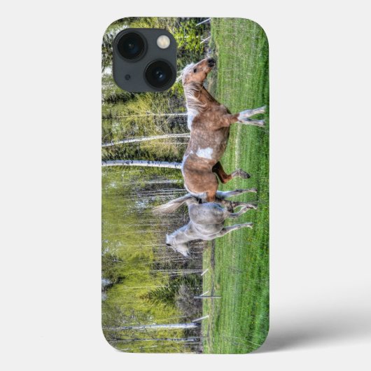 Sluitend palomineverf en witte paarden, paardenlie Case-Mate iPhone case (Achterkant)